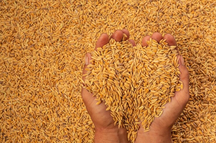 Grain Cultivation at The Green Reader