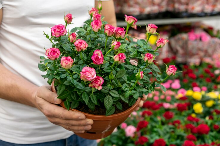 Expert Flower Farming at The Green Reader