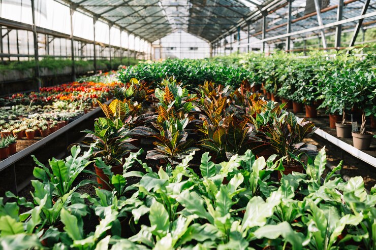 Plant Nursery Services at The Green Reader